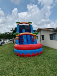 deluxe palm tree waterslide