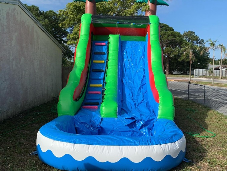 basic palm tree waterslide